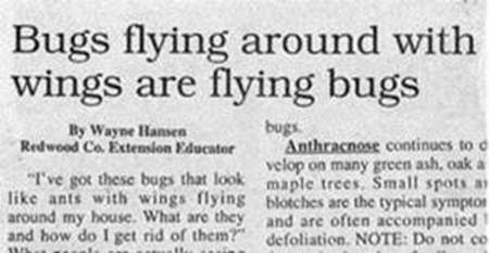 newsheadline-2013feb11.jpg newsheadline-2013feb11.jpg