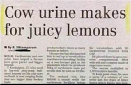 newsheadline-2013feb15.jpg newsheadline-2013feb15.jpg