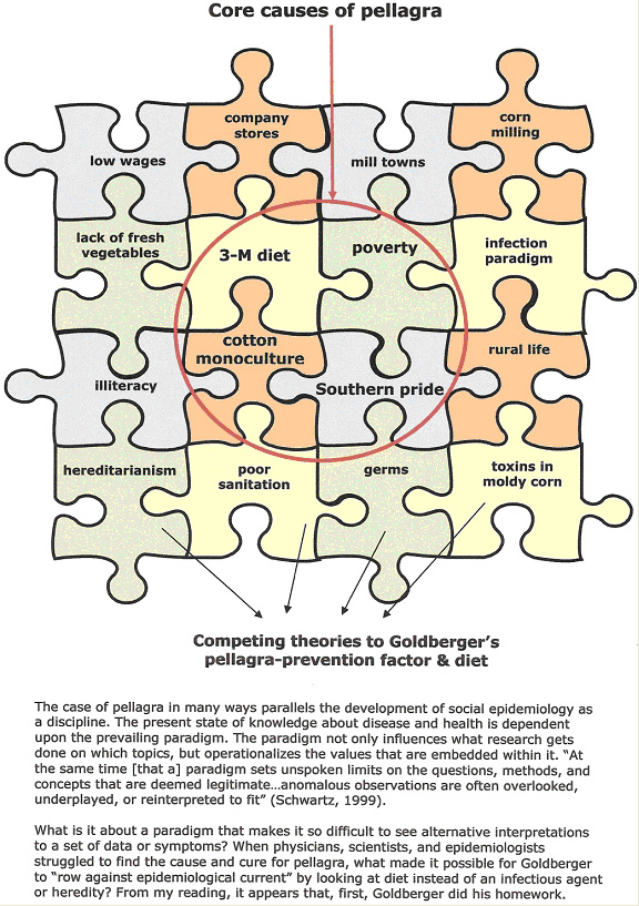 pellagrapuzzle.jpg pellagrapuzzle.jpg