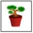 Visit our Wikispace
